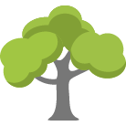 Kokomo Tree Removal