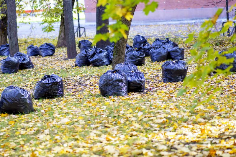 Leaves Being Disposed of