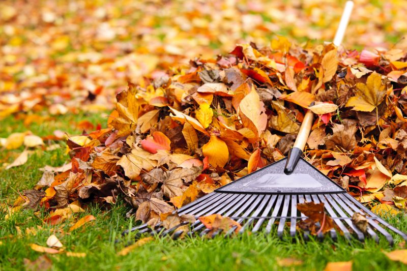 Fall Landscape Maintenance
